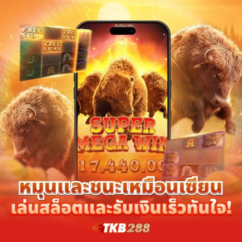 TKB288 เว็บสล็อตและคาสิโนสด