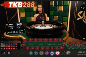 สัมผัสประสบการณ์สุดล้ำกับ อัลตรารูเล็ต บน Tkb288